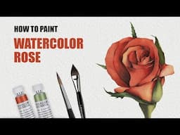 Rose watercolour illustration ✎ CurtisSheeran