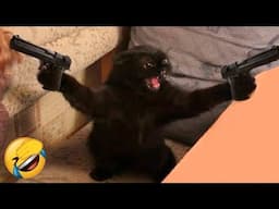 You Laugh You Lose 😍 Funniest Cats and Dogs 2024 😸🐶 - Part 26