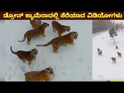 ಡ್ರೋನ್ ಕ್ಯಾಮೆರಾದಲ್ಲಿ ಸೆರೆಯಾದ ದೃಶ್ಯಗಳು || Mysteries For you Kannada