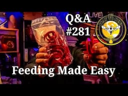 Beekeeping Q&A Episode 281 winter feeding and more.