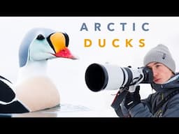 I Spent 28 Hours in a Floating Hide to Photograph Ducks in the Arctic