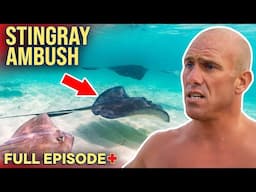 Lifeguards Shocked By Mass Stingray Attacks! | Lifeguard! Southern California S2 E07 (Full Episode)