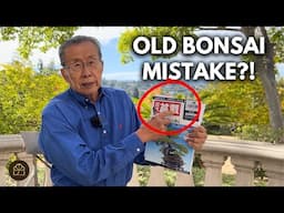 Correcting a 500 Year Old Mistake in Bonsai | Q&A