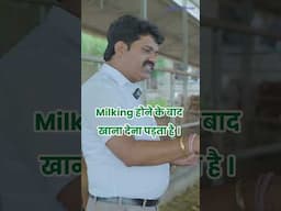 चारा अच्छा तो Milk भी अच्छा 🐄🥛पूरा वीडियो देखने के लिए ऊपर Click करे👆#indianfarmer #shorts