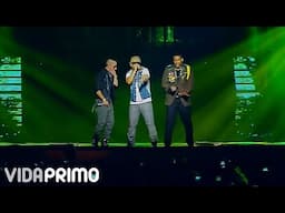 DON OMAR feat DADDY YANKEE : DESAFIO @ HECHO EN PUERTO RICO