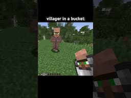 villager in a bucket #minecraft