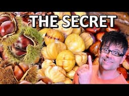 How To Peel Chestnuts The Easiest Way | The Elementals Of Fine Food