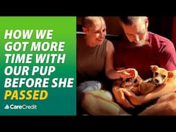 How We Got More Time with Our Dog | CareCredit Cardholder Testimonial