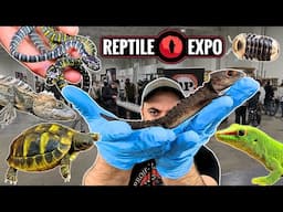 I got 2 GIANT Croc Skinks + 8 RARE pets at the Toronto Reptile Expo! April 2024