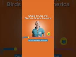 Shake It Like the Dancing Birds in South America