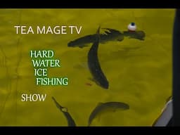 TEA MAGE TV - Hard Water Show 2021