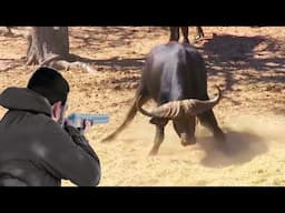 Challenging the Black Death and pumping adrenaline while hunting African buffalo