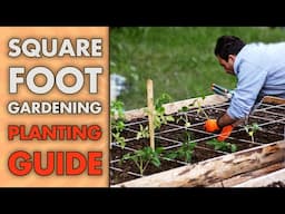 Square Foot Gardening Planting Guide - ALL YOU NEED TO KNOW For Planting Successfully