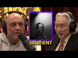 Michio Kaku: ChatBots Are Not Sentient | Joe Rogan Experience