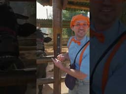 WOW - Blippi Feeds a Bull!🐂 | #shorts #blippi #blippishorts