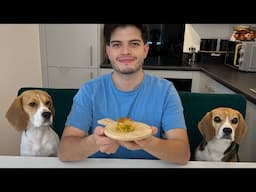 COOKING WITH BEAGLES | Fish pie 🥧