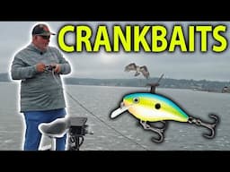 Big Bass on Big Crankbaits: When Tiny Cranks Won't Get Bit!