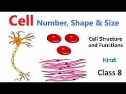 Cells - Numbers, Shape & Size | Cell - Structure and Functions | Class 8 Science Chapter | Biology