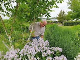 Arjan Schepers talks plants and potting mixes