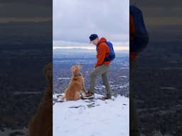 Nala stomps on mountain tops