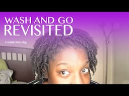 4c Hair Chick | Wash and Go Revisited