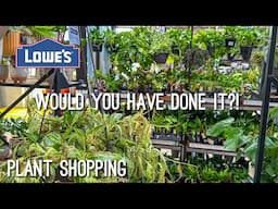 Did I make a mistake buying this plant at lowes?! Plant Shopping & Plant Updates!