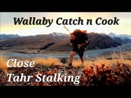 Mid Winter Tahr and Wallaby Hunt | 7 Days Alone