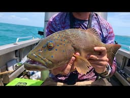 Fishing For Coral Trout With Barra Classics | The Plan Actually Worked!