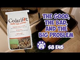 Cedarific Cat Litter Review - The Good, The Bad, The Big Problem - Lucky Ferals S8 E45