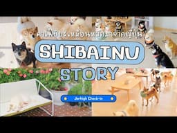 เป็นที่รัก เป็นที่พักใจ และเป็นฟาร์ม  💓 Shibainu Story l jerhigh Check in