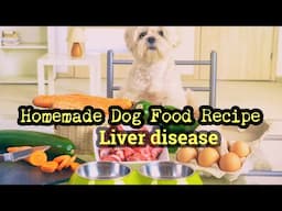 Homemade Dog Food Recipe For Liver Disease -Canine Nutritionist