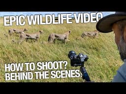 How to Create Epic Wildlife Video in Africa? Behind The Scenes with Roie Galitz