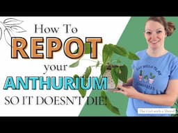 How to Repot Anthurium (Step-by-Step Guide & Care Tips!)