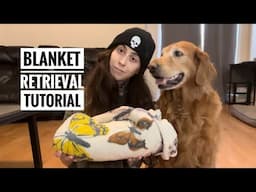 How to train your dog to bring you a blanket