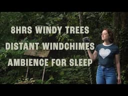 8HR Ambience of Windy Trees & Distant Windchimes for Sleep | ASMR