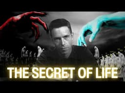 The Secret Of Life - Alan Watts