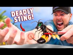 Killer Hornet Sting Test!