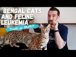 Bengal Cats and natural immunity to Feline Leukemia: Truth or Myth?