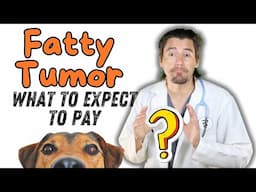 Price to remove Dog Lipoma (Fatty growth)