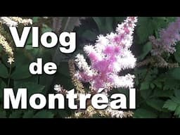 Vlogging in Montreal