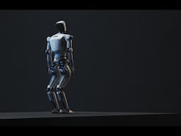 RAISE-A1 Humanoid Robot