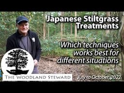 Treating Japanese Stiltgrass – We show you what works for different situations - October, 2022