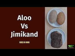 Aloo Vs Jimikand | आलू और जिमीकंद में अंतर | Potato Vs Elephant Foot Yam | Everyday Life # 347