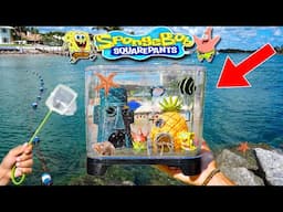 Catching SEA CREATURES For SPONGEBOB AQUARIUM!!