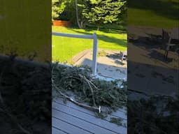 Massive tree destroyed our deck so we’re fixing it. #woodwork