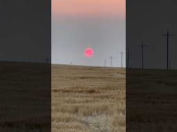 Wheat harvest pt.26 sunrise engulfed by smoke.