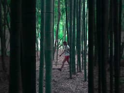 Atlanta's Hidden Gem: The Magical Bamboo Forest!