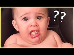 Funniest Baby Videos You Can't Miss - Funny Baby Videos