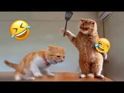 You Laugh You Lose🤣Funniest Dogs and Cats 2024😹🐶