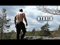 Hybrid Training: Calisthenics & Weights - Always Workout